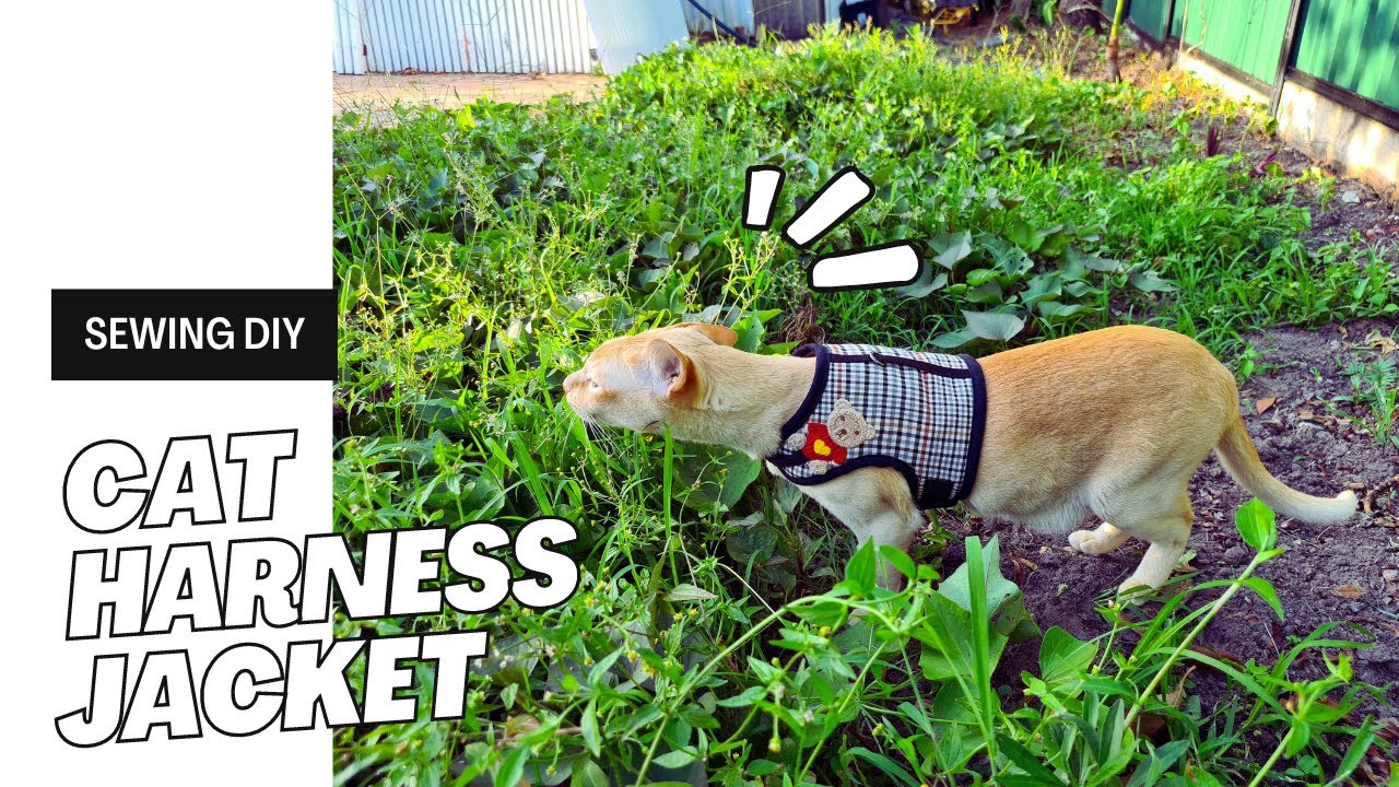 sewing DIY Cat Harness Jacket (free pattern)