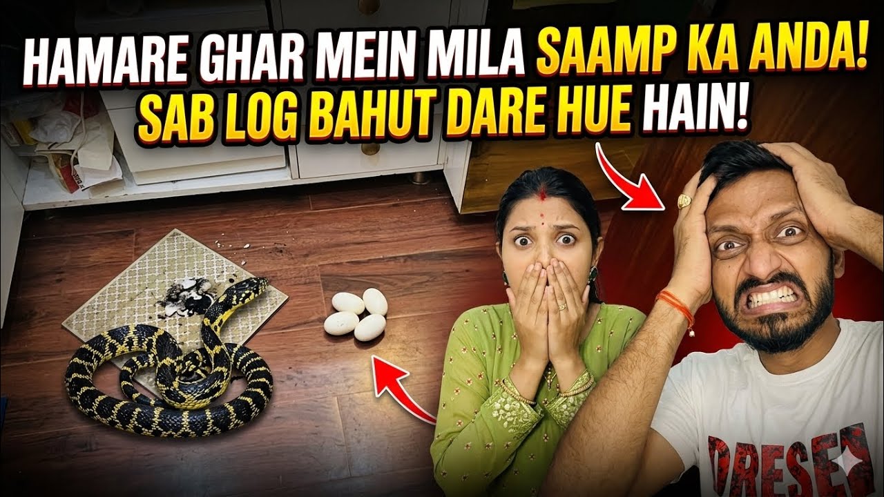 Vlog  - घर में दो साप के निकलने के बाद मिला अंडा | सबलोग घर में डर गए है | Sachin Manisha 
