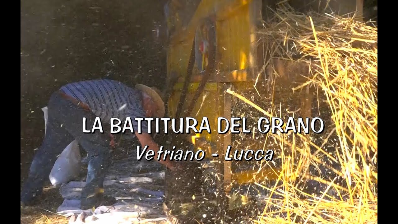 LA BATTITURA DEL GRANO