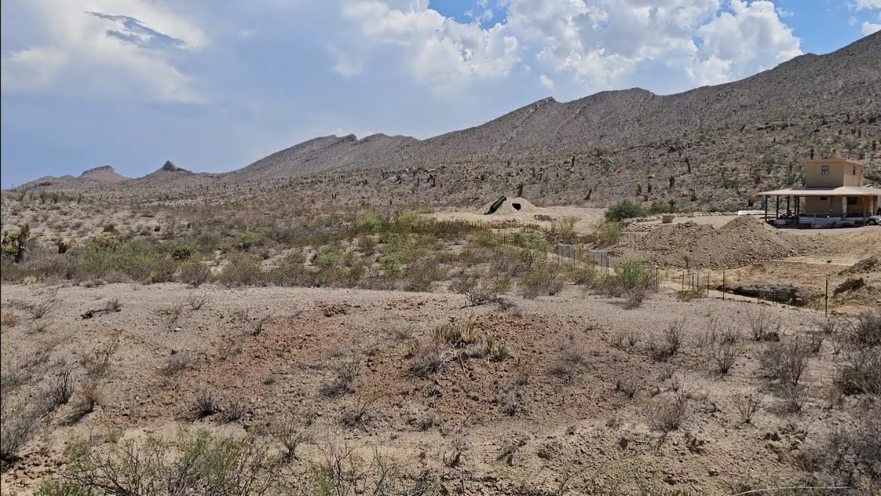 Прогулка по цветущим местным растениям в пустыне Чиуауа @TimelineRanch