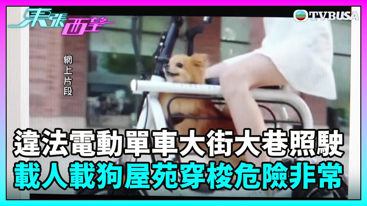 東張西望｜違法電動單車大街大巷照樣駛，載人載狗屋苑內穿梭危險非常｜TVBUSA｜民生