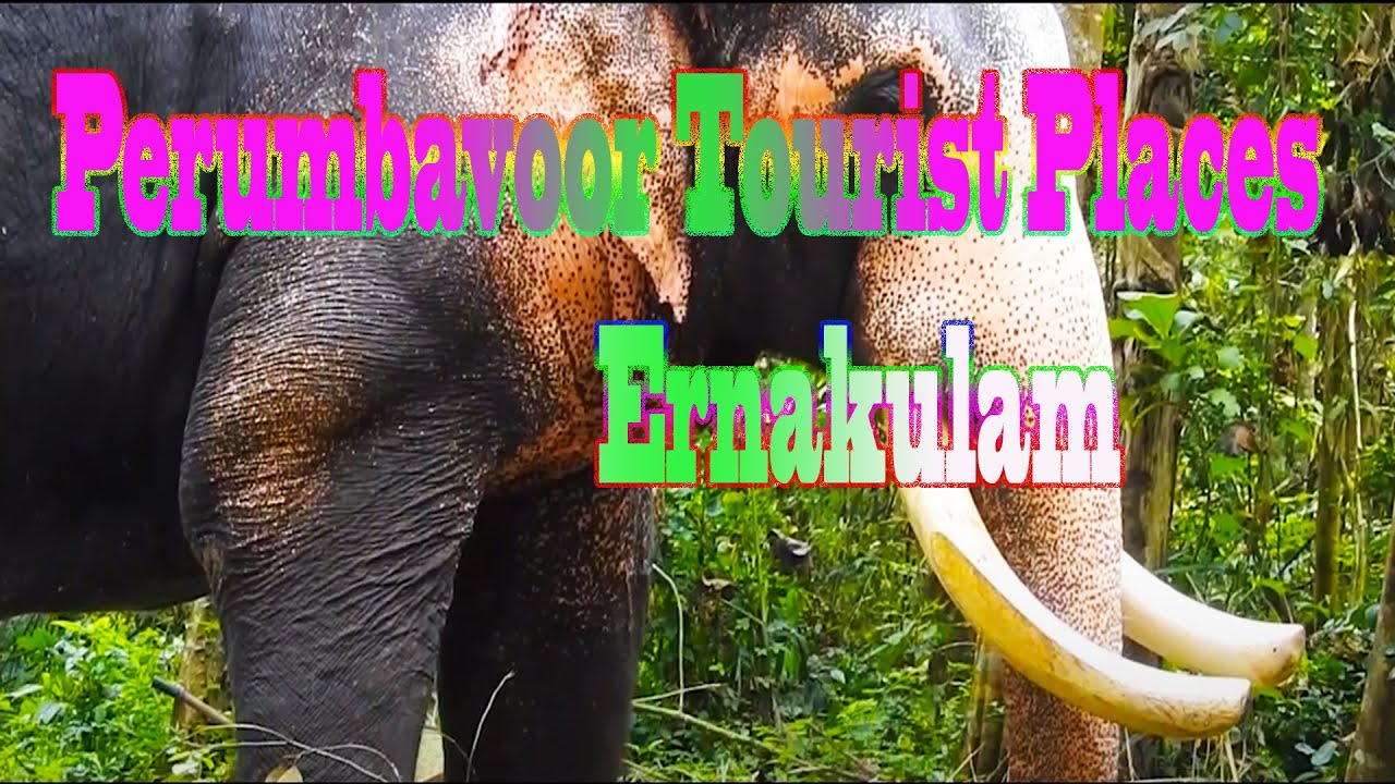 Perumbavoor Tourist Places View [ Ernakulam, Kerala, India ]
