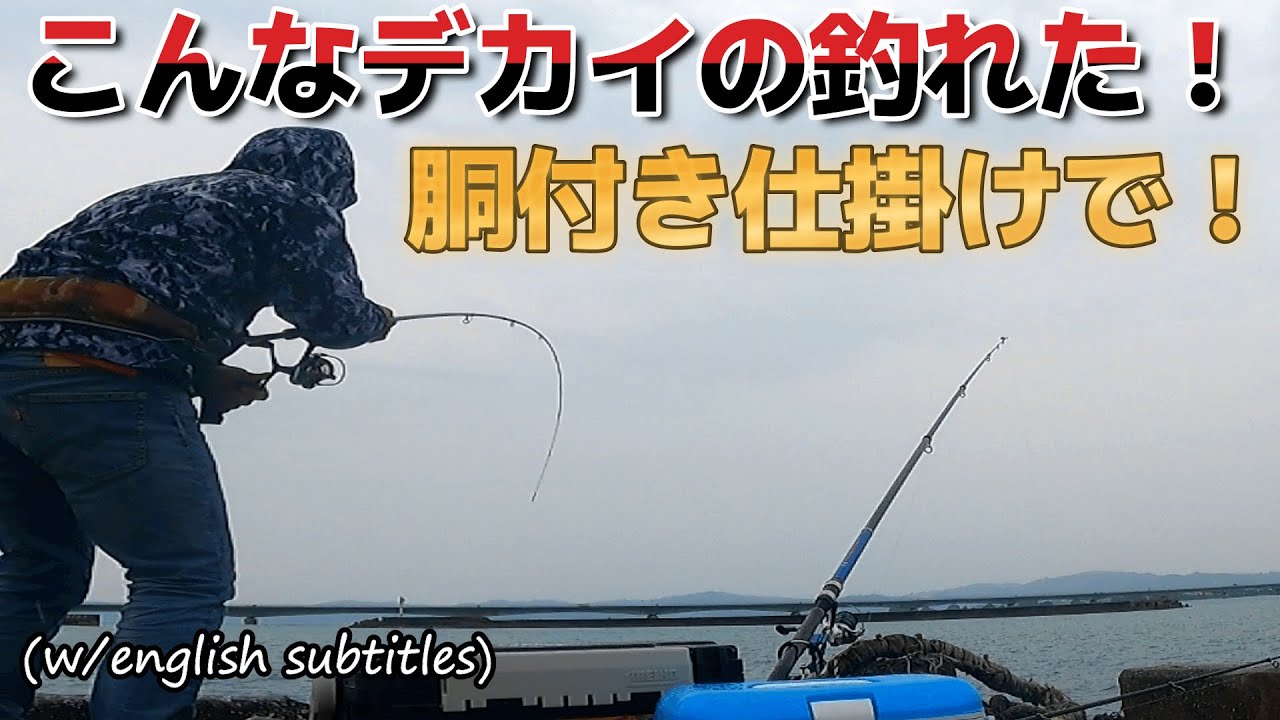 【沖縄釣り】【海中映像】胴付き仕掛けでこんなデカイ魚が釣れるた！？ビックリ！！海中映像もあるよ！初心者から上級者まで簡単に？釣れる！