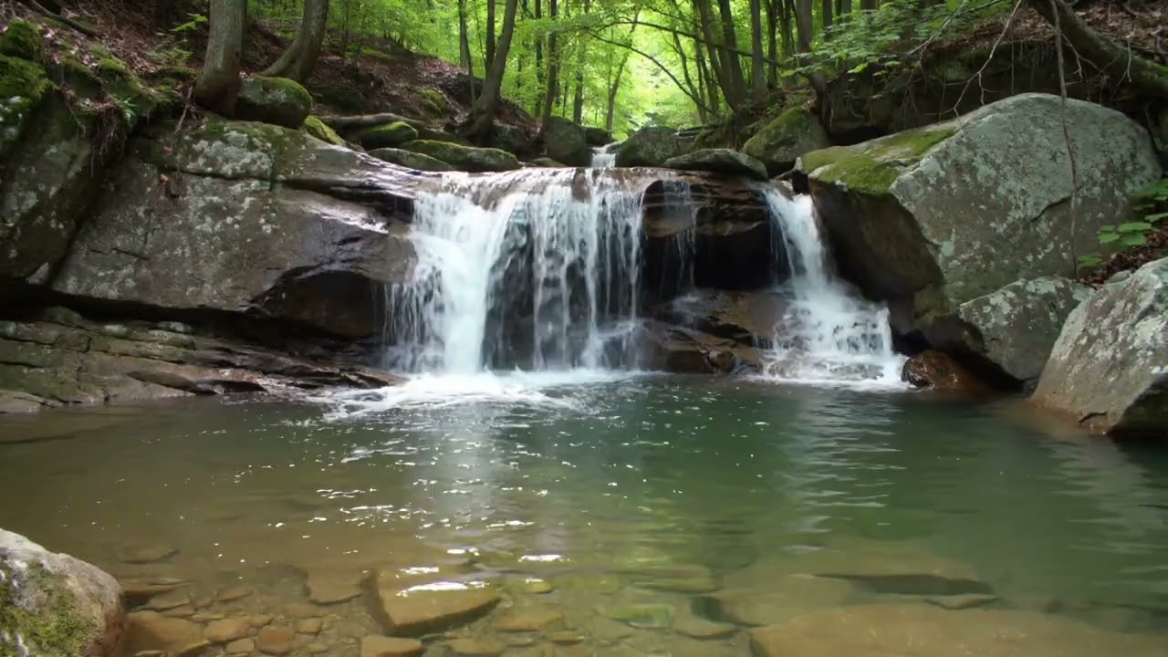 Forest Waterfall & Bird Sounds for Focus | 5 Hours Natural Ambience (No Music)