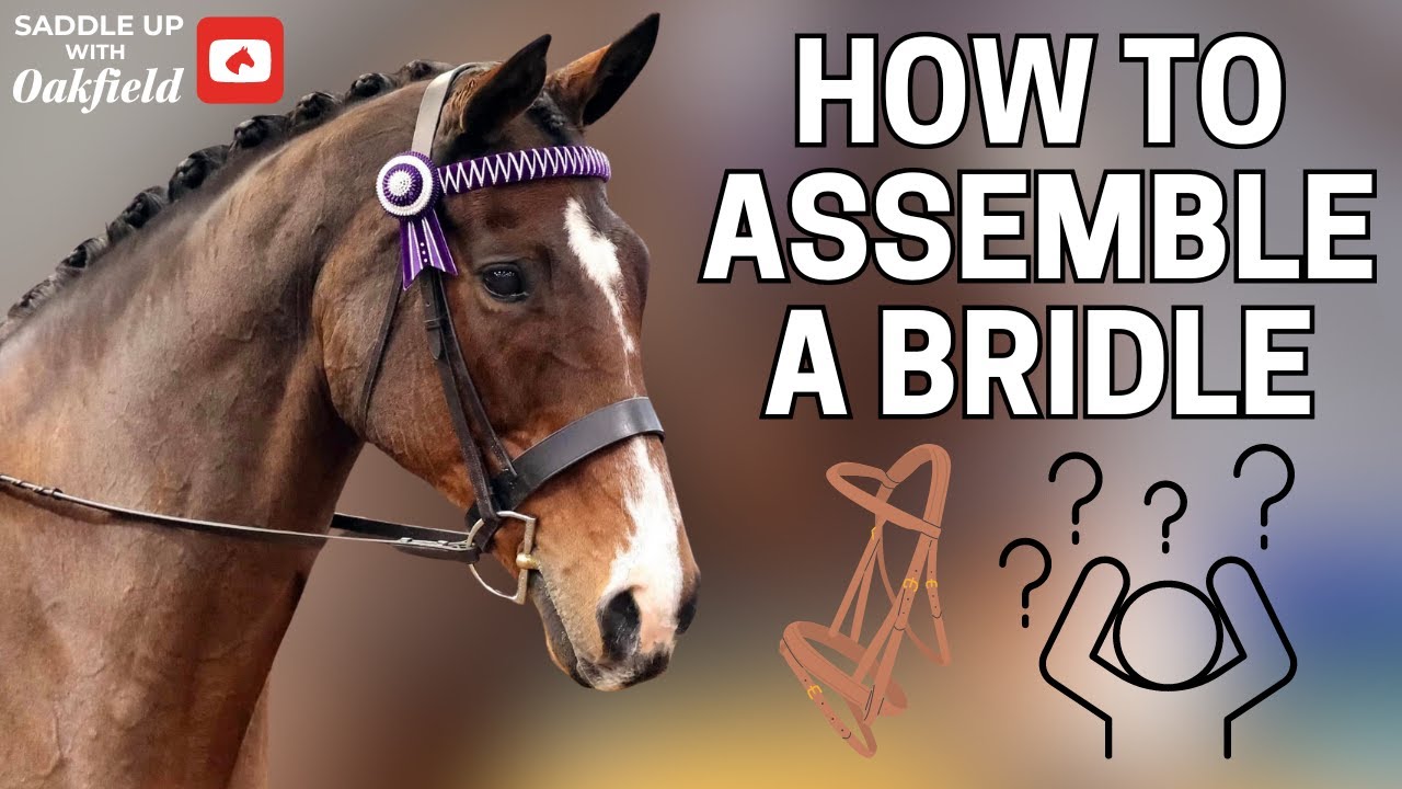 How to put an English Bridle back together!