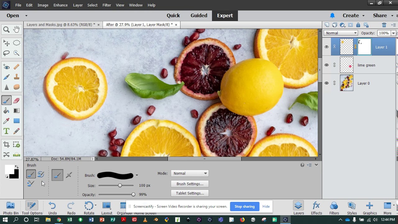 Adobe Photoshop Elements 2019-Layer Masks, Clipping Masks, Adjustment Layers, Layer Modes