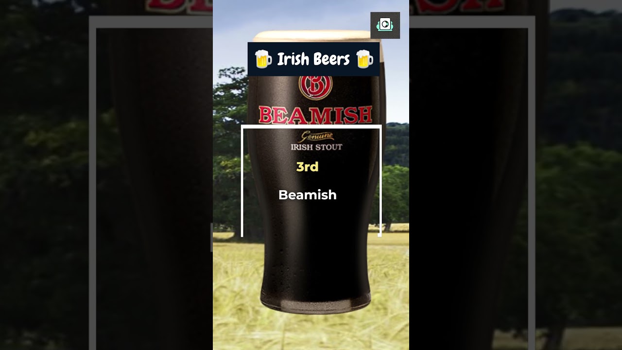 🍺+🇮🇪 5 Irish Stouts That Could Be Better Than Guinness #shorts #irishpub #stout