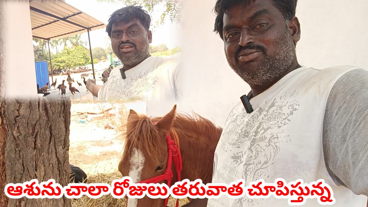 ఆశును చాలా రోజులు తరువాత chupistunna