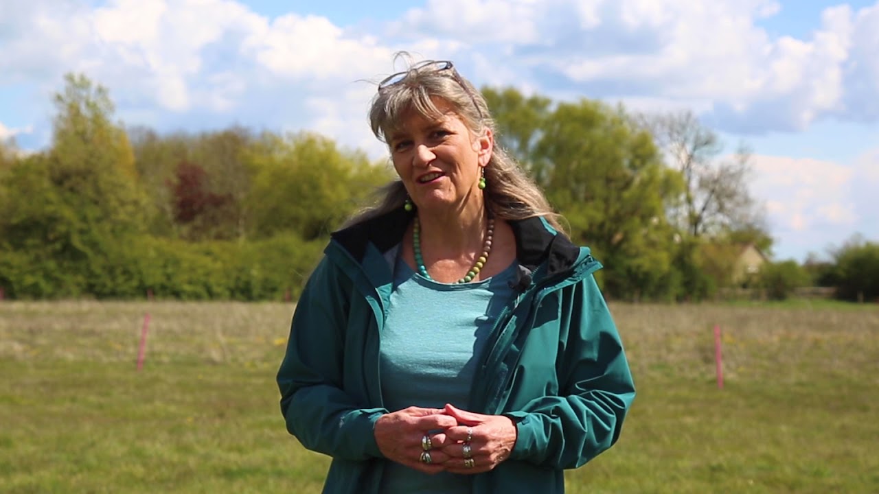 Code of Practice for Responsible Metal Detecting in England and Wales
