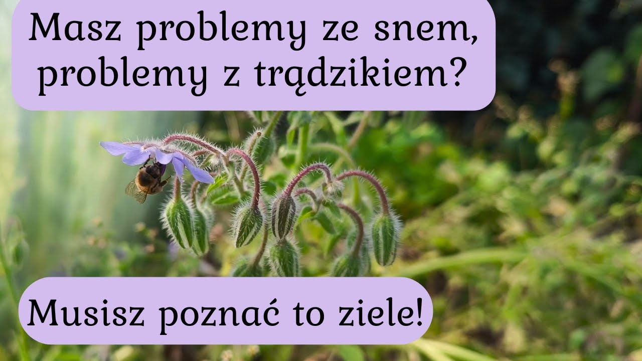 NA PROBLEMY ZE SNEM, PROBLEMY SK&Oacute;RNE i nie tylko! - CO TO TAKIEGO?