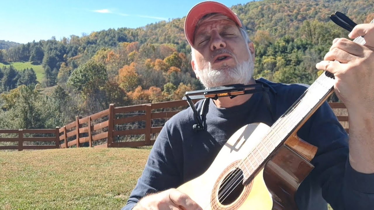 🎶 
