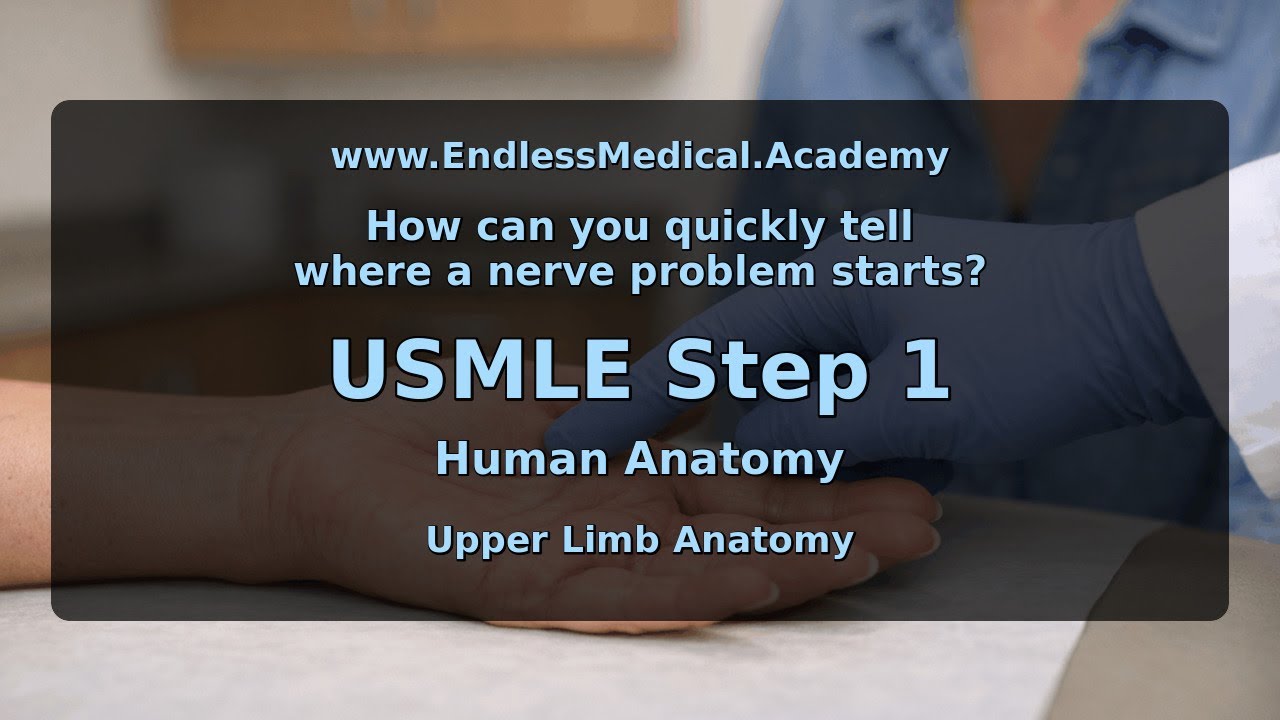 Upper Limb Anatomy, Human Anatomy, USMLE Step 1 - Full Vignette with Extended Explanations