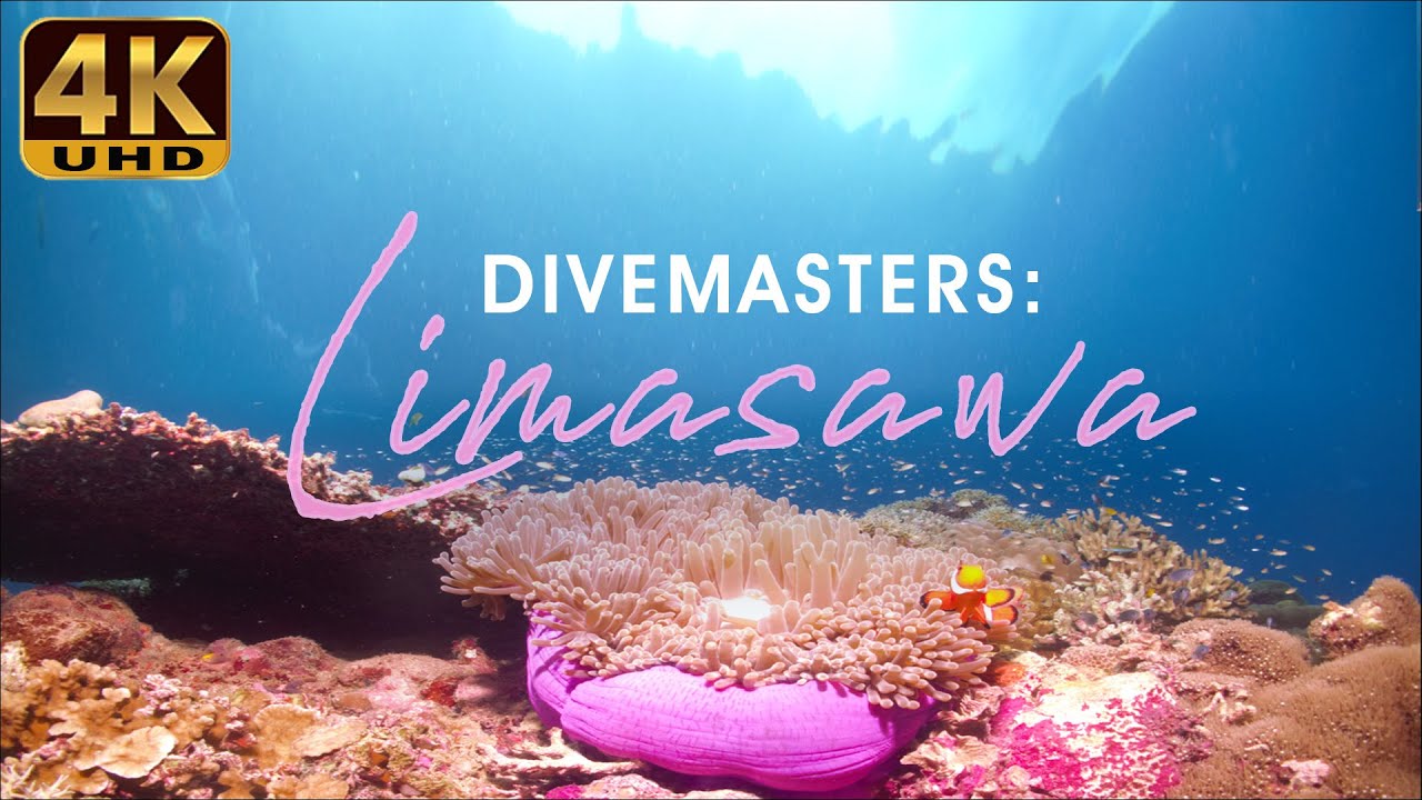 Philippine Paradise: LIMASAWA ISLAND, Southern Leyte (CROWN of THORNS) | Filipino Adventures