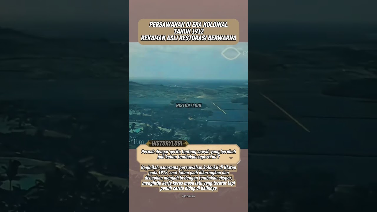 Panorama persawahan Hindia Belanda tahun 1912 #shorts #sejarahindonesia