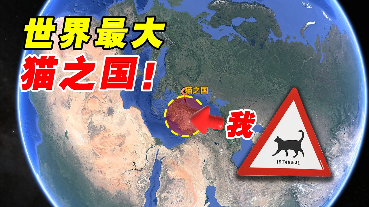 世界最大猫之国！千万不要随便坐下！