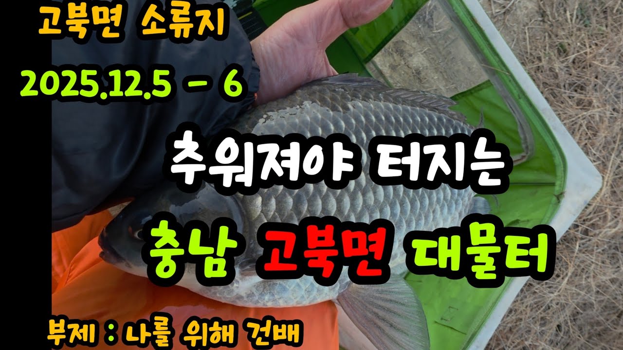 2512/영하로 떨어지면 일단 여기로. 충남 고북면 소류지 겨울 물낚시 #붕어 #붕어낚시 #겨울 #캠핑 #fishing #슬로우찌 #민물낚시  #낚시유투버  #신송지