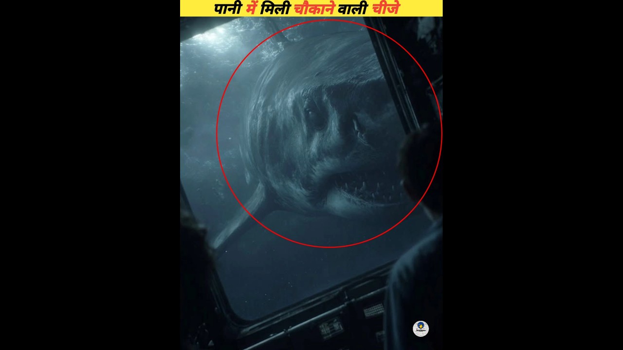 The most mysterious fish in the sea 🌊 #viral