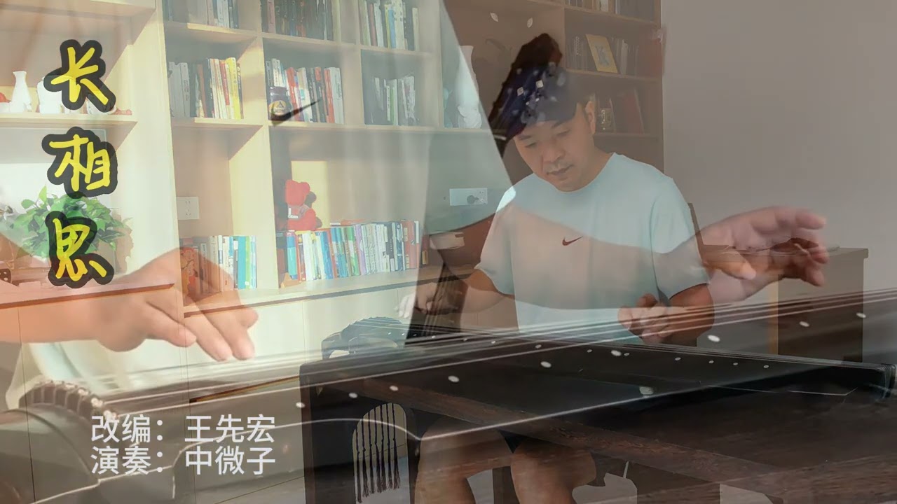 古琴 长相思 王先宏