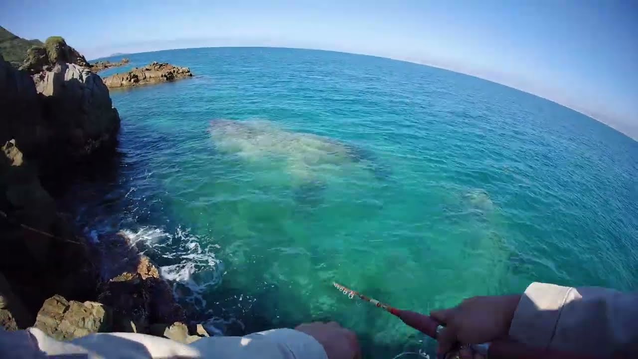 🎣🔥pesca en 20 minutos y 20 bonitas 
