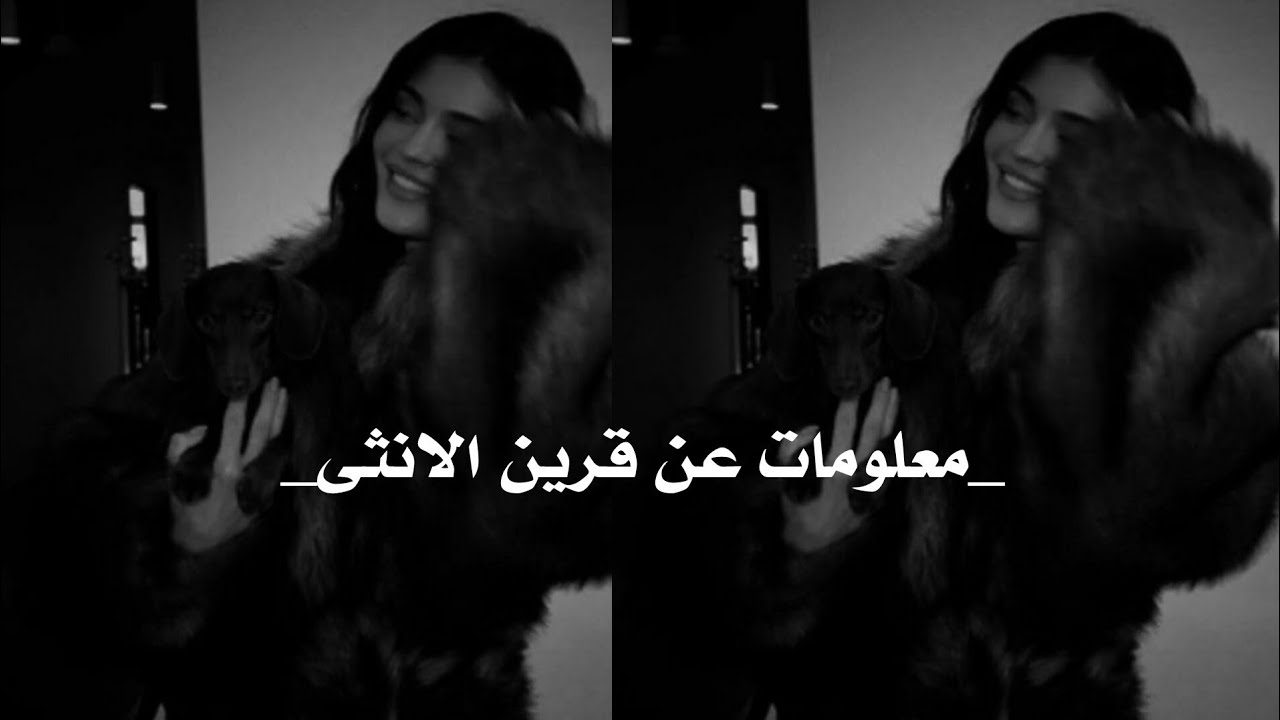 معلومات عن صداقه القرين و كيف يكون؟... #قريني_العزيز #عالم_القرين 