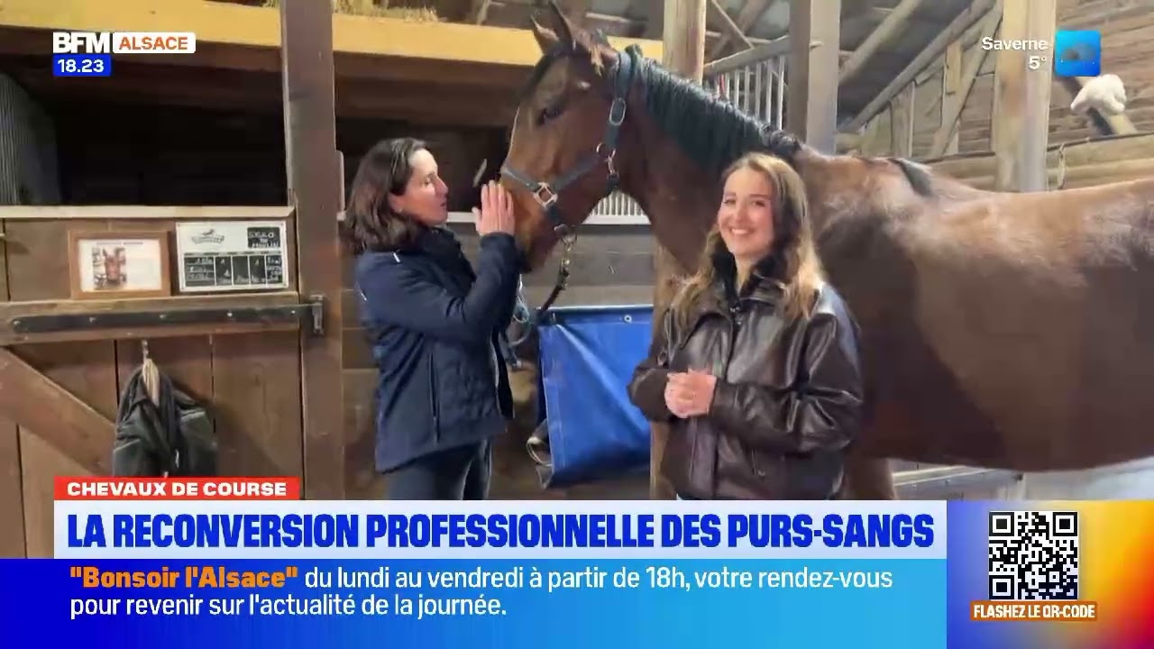 BFM Alsace le jeudi 19 fevrier 2026 18 22