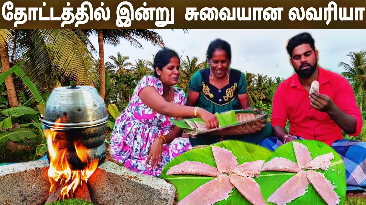 இயற்கையோடு எங்கள் வாழ்க்கை பயணம்  I  village life 💚 vanni bro 