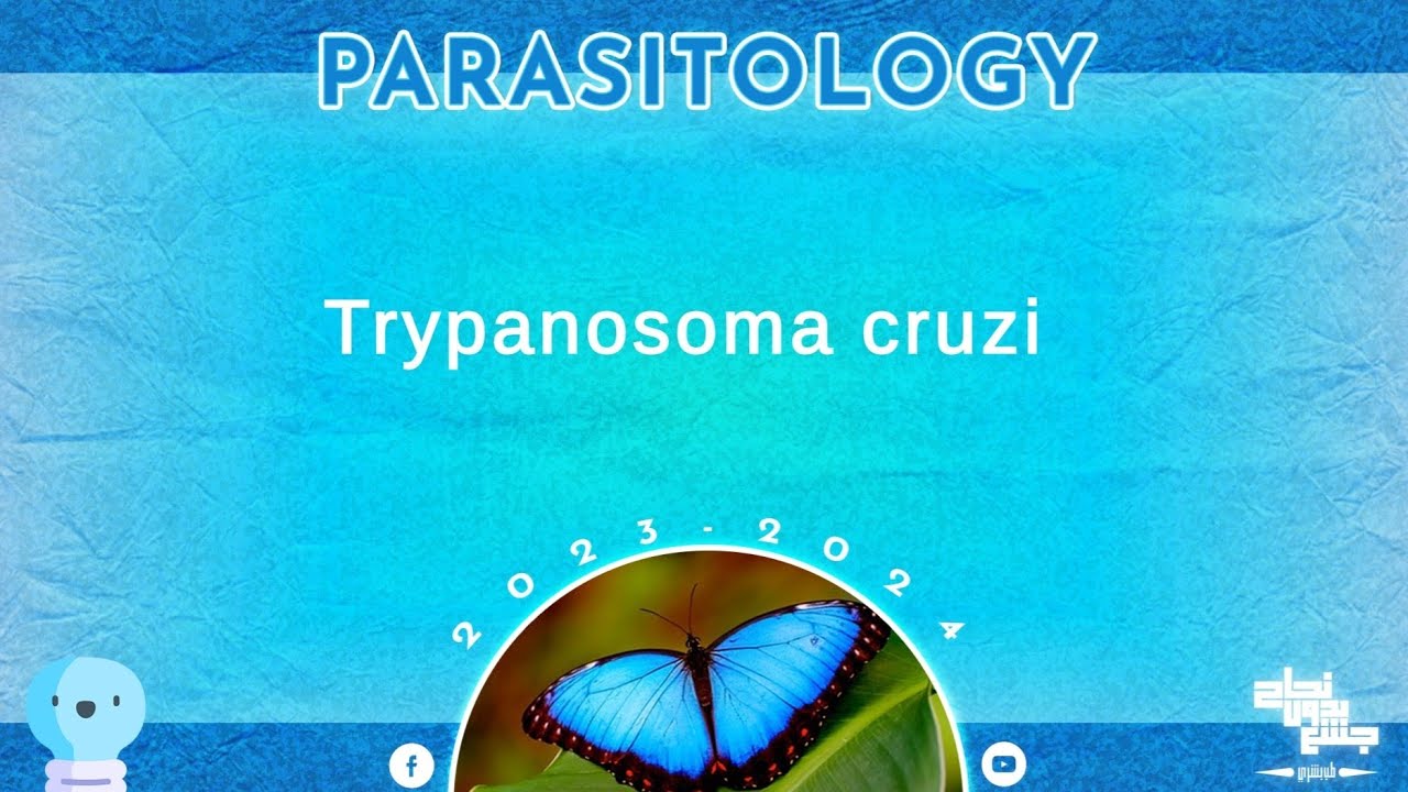 L3 part 2, Trypanosoma cruzi (American Trypanosoma), Parasitology
