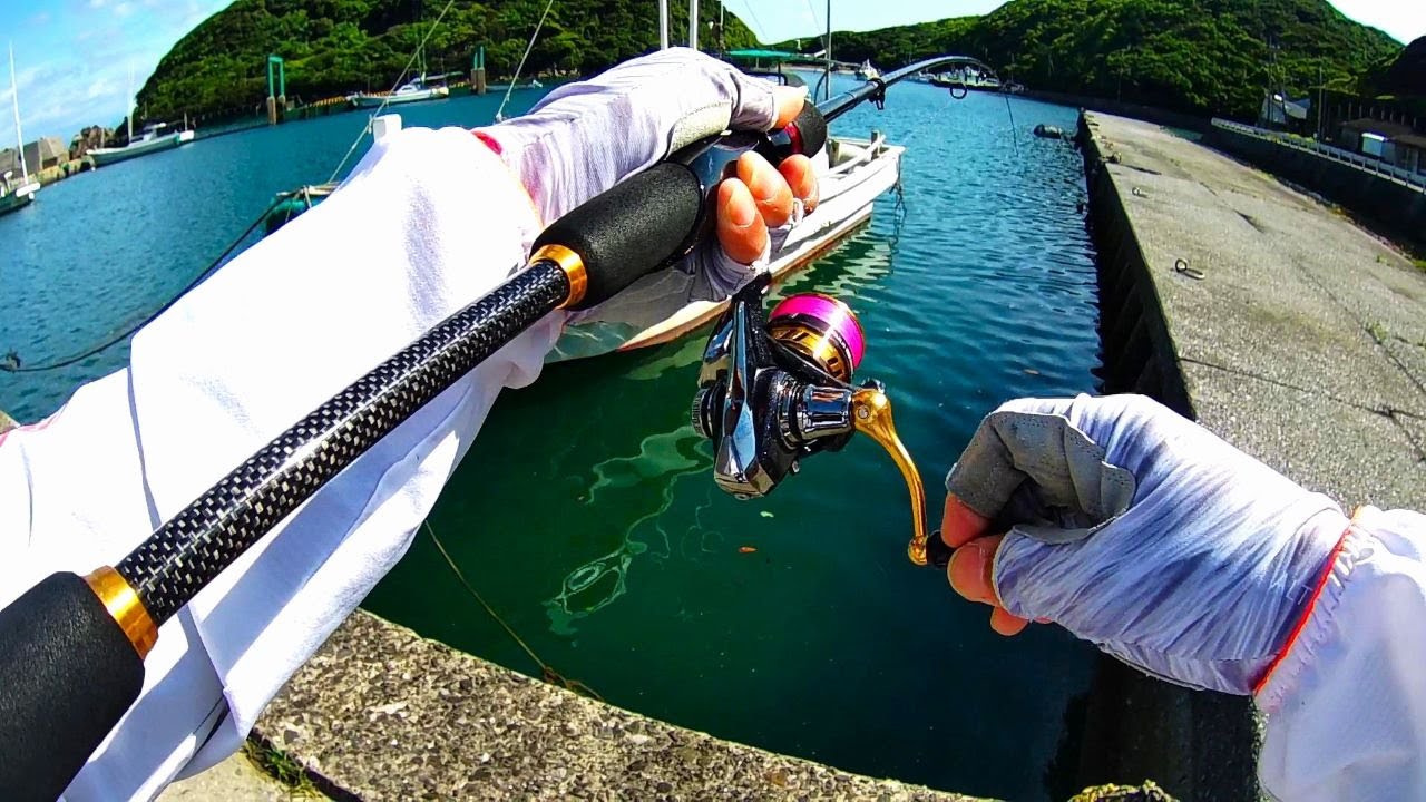 【移住生活】広い漁港内を歩きながら釣りしたらいい魚に出会えた【種子島】