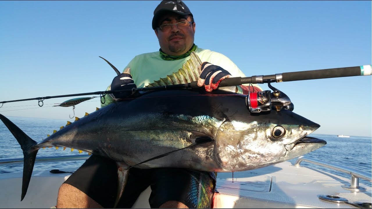 YellowFin Tuna Fishing | Fujairah - UAE