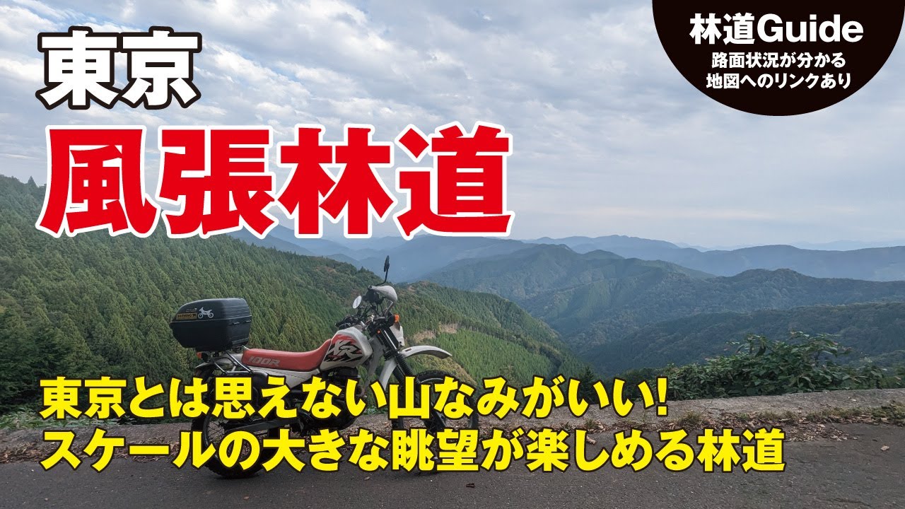 【東京】風張林道〜東京とは思えないスケールの大きな眺望が魅力