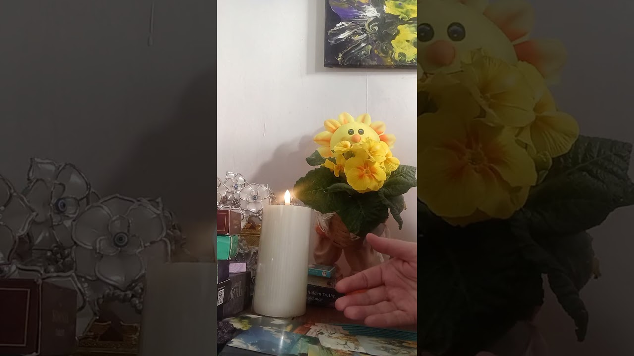 FOSTUL FOSTA. DRAGOSTE SA TERMINA SI BANI