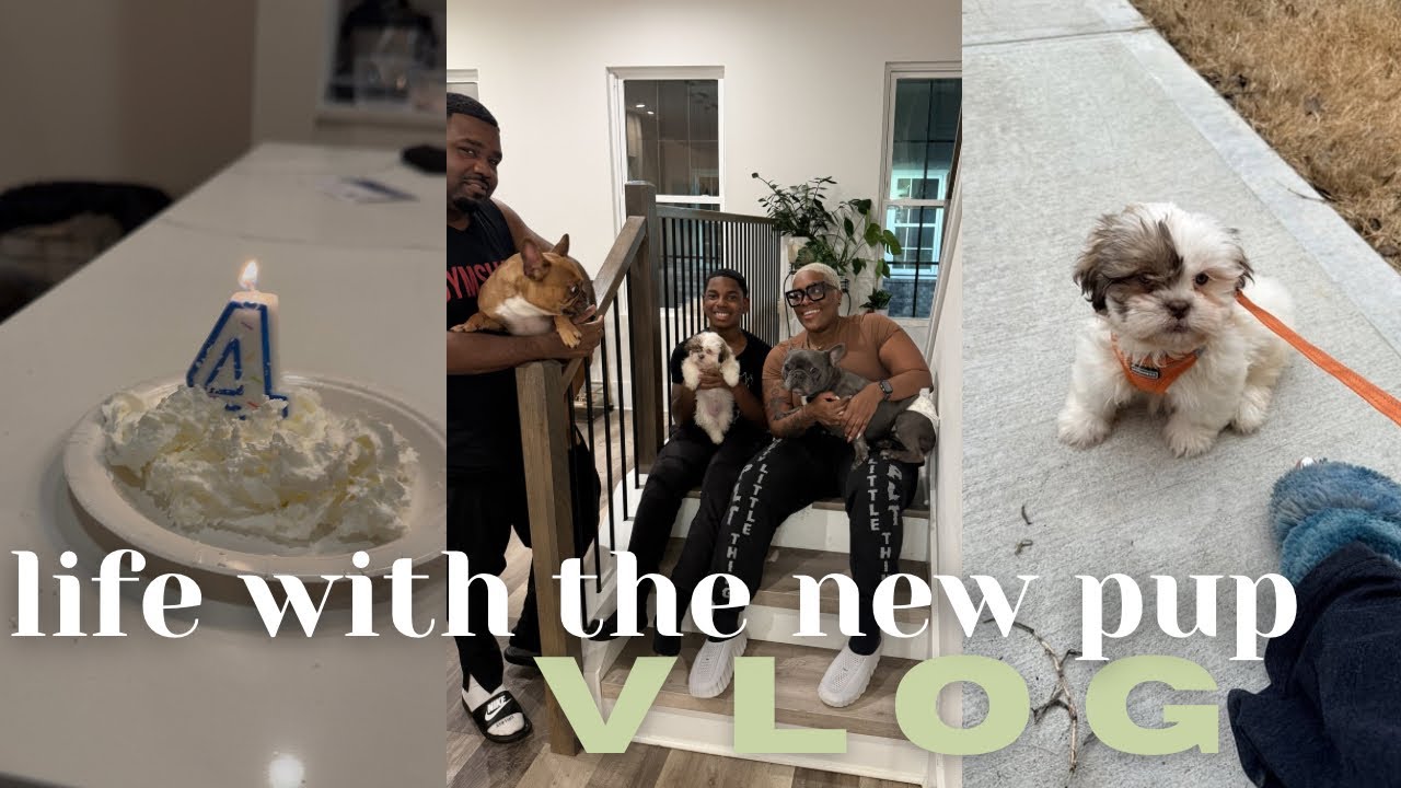 Adjusting our lifestyles around our 10 week old puppy....😅 Fitkol AI Treadmill review
