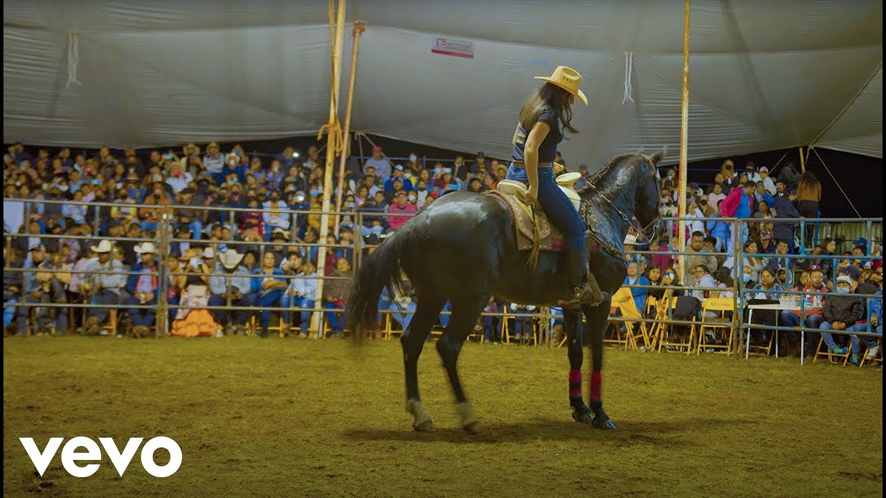 Sangre De Acción - Popurrí De Huapangos 