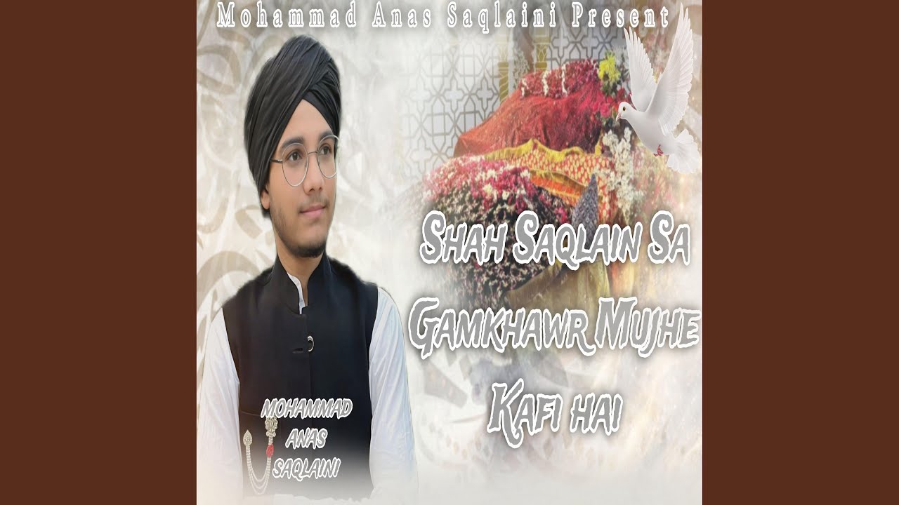 Shah Saqlain Sa Gamakhavaar Mujhe Kafi Hai