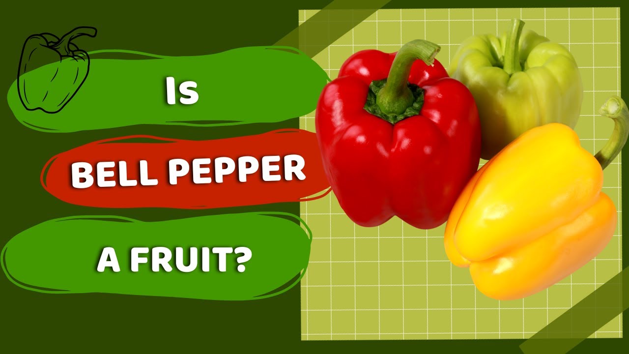 Is Bell Pepper a Fruit or Vegetable? Demystifying the Bell Pepper Classification