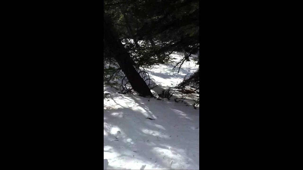 Mountain man love