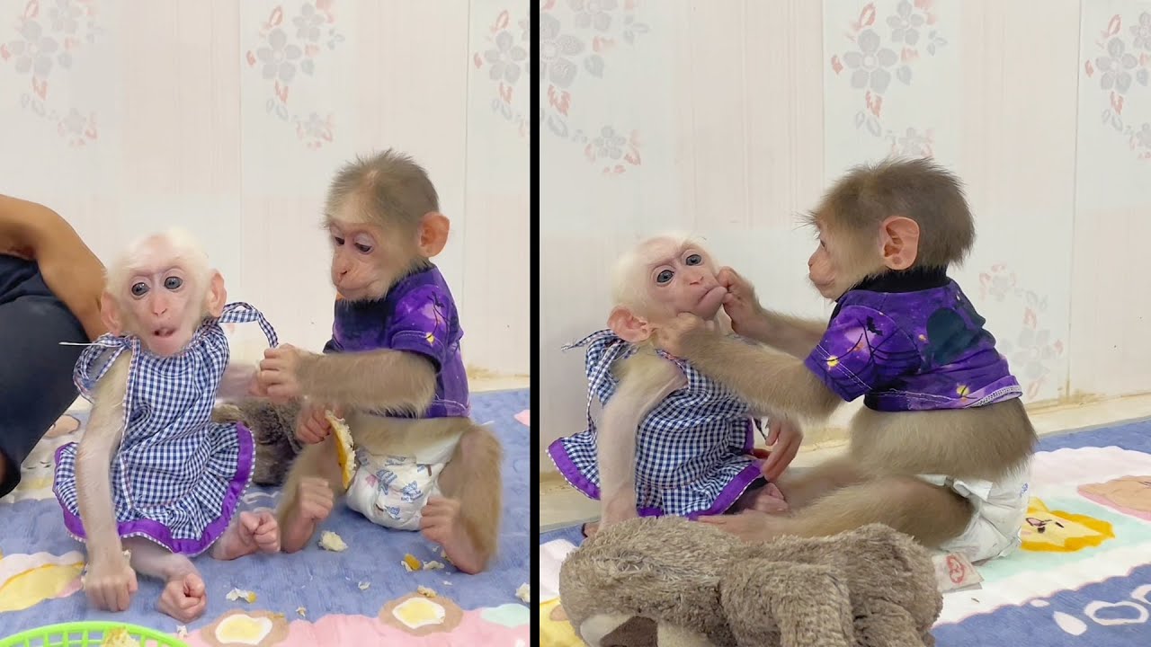 Bee Boy Treat His Little Bro Ken So Gentlely And Sweet By Feed Him Orrange