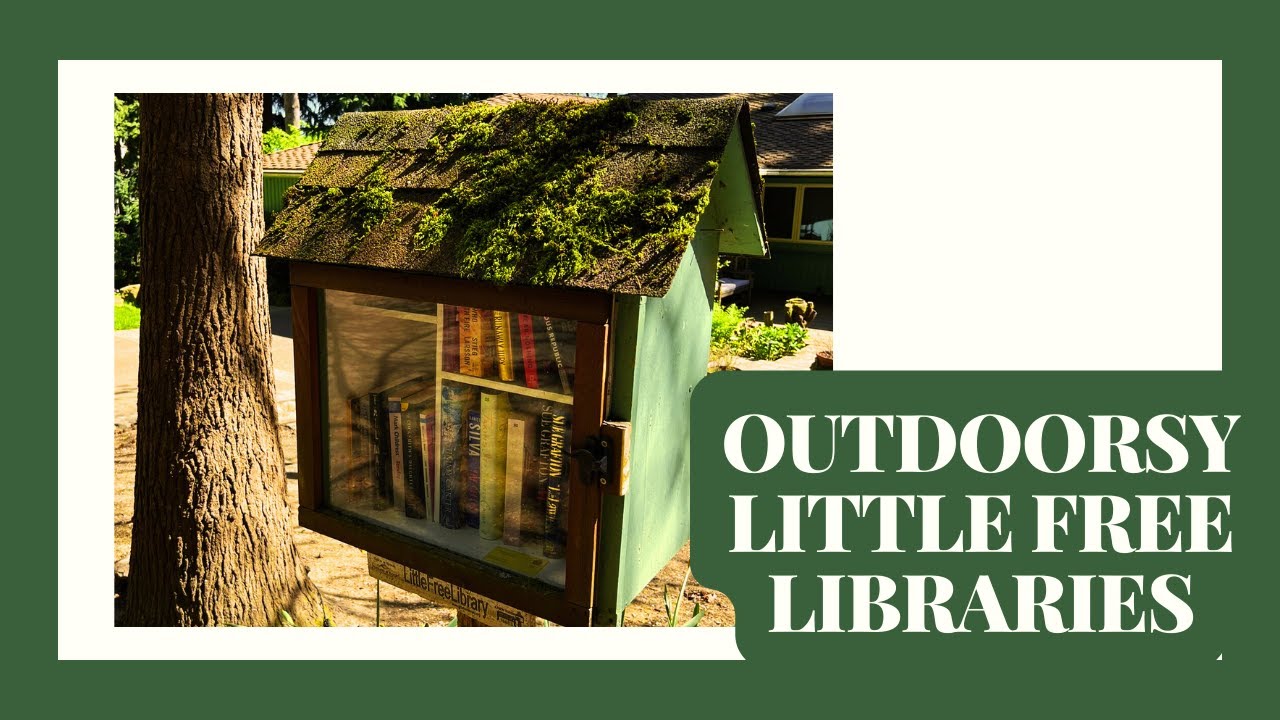Little Free Library Tour - Exploring Mercer Island WA for the BEST #lfl