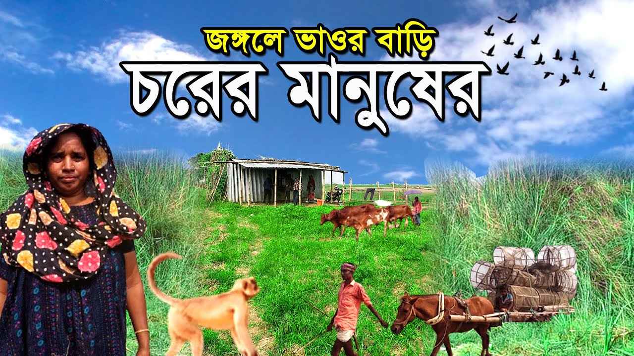 মজলিশপুর চরের খেটে খাওয়া মানুষের সংগ্রামী জীবনের গল্প।Mojlishpur Char Village life bd Rural Life bd