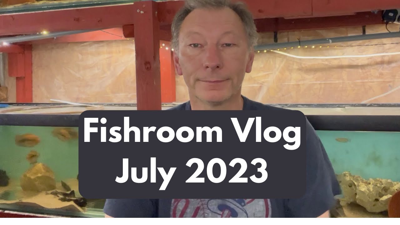 Fish Room Tour and Vlog July 2023 Part 1