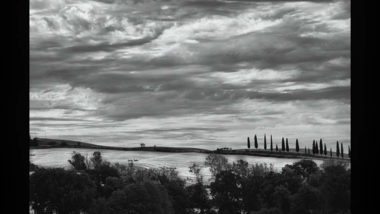 Black & White 61