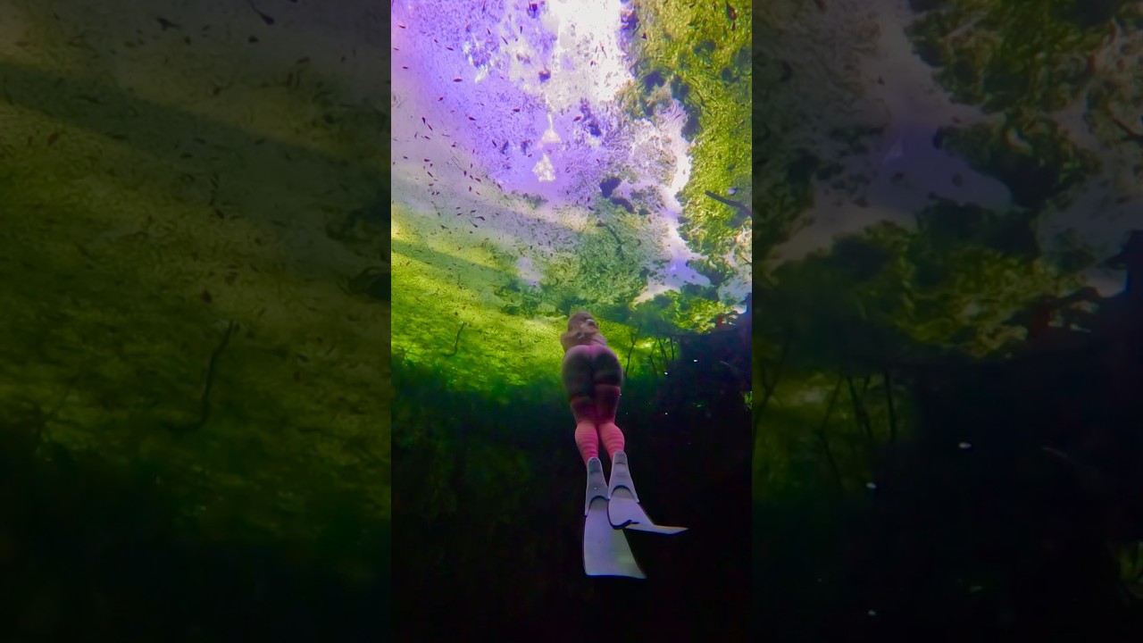 Freediving thru some duckweed🐥📸 @CoraliaDives #freediving #underwater #naturelover #swim #sinkhole