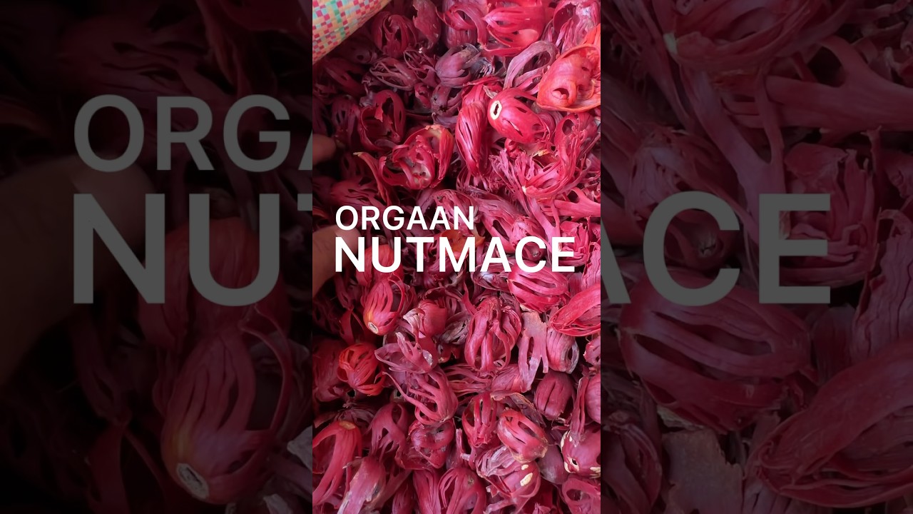 NUTMACE | ORGAAN SPICES
