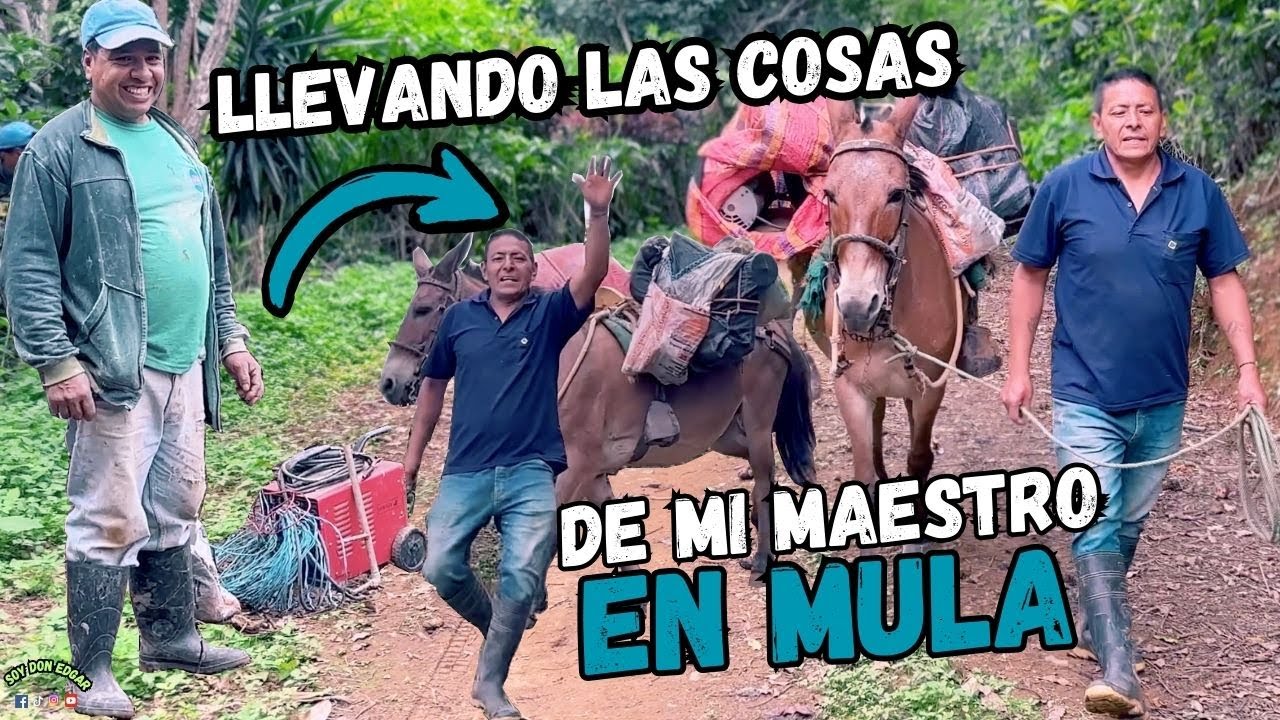 Mi maestro tuvo que irse a otra construcción y le lleve sus herramientas hasta su casa en una mula