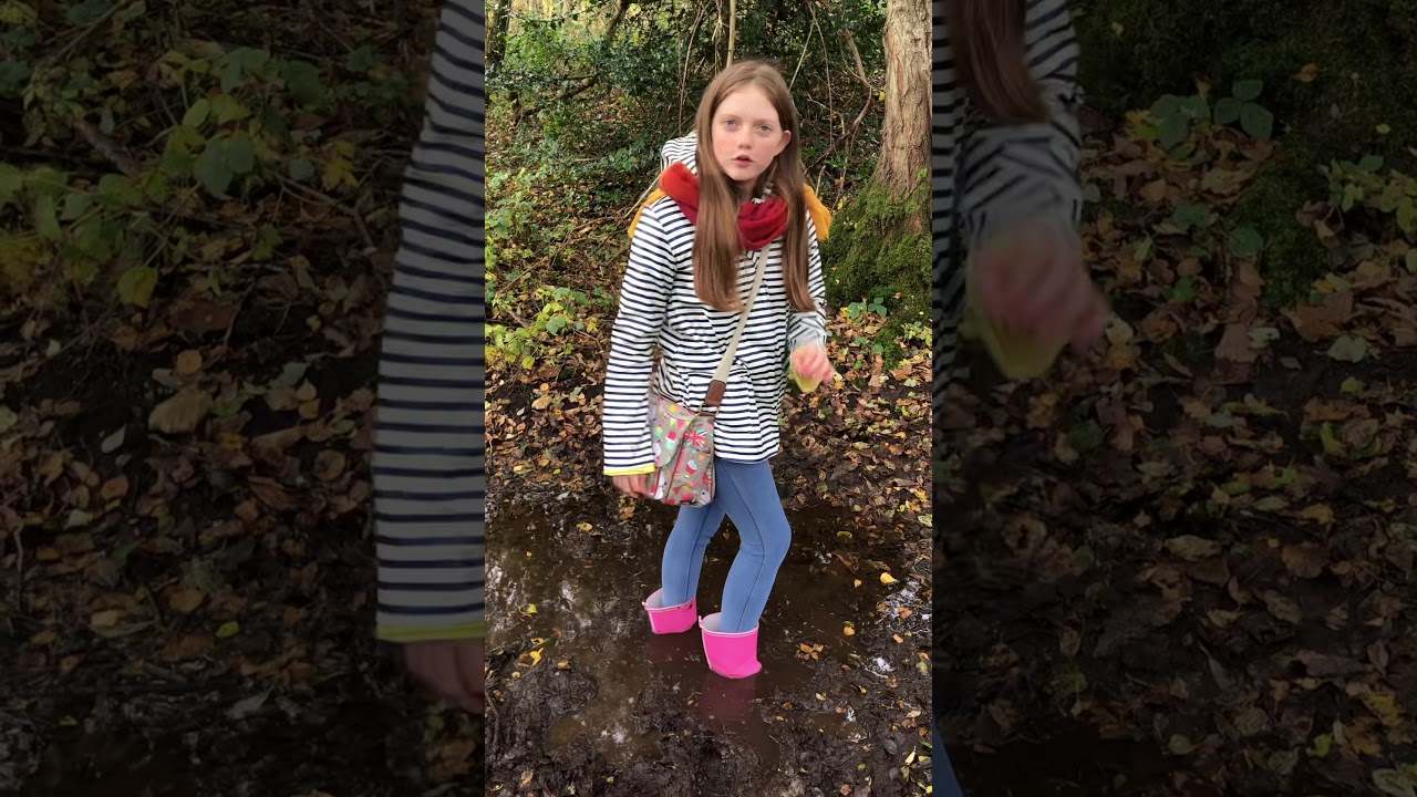 Autumn leaves and stuck in the mud