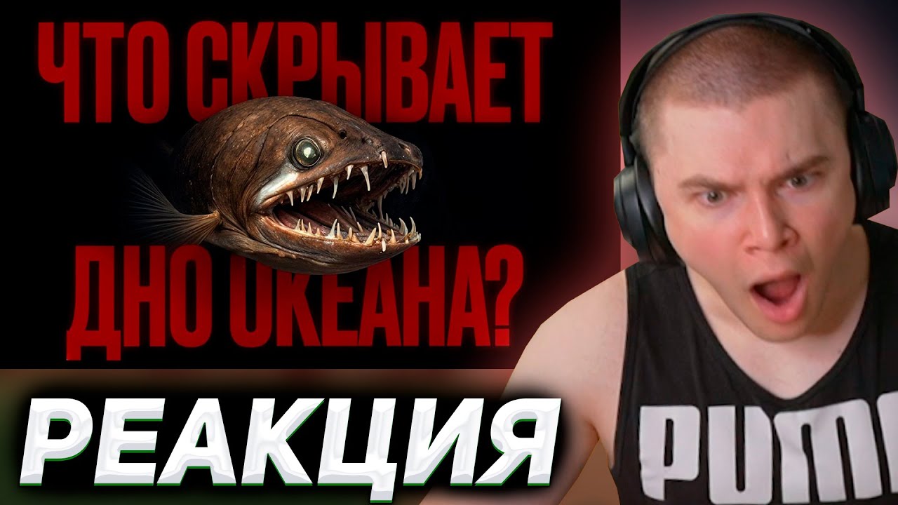 ДЕРЗКО В ШОКЕ ОТ УЖАСОВ В ОКЕАНЕ / УЖАСЫ В ОКЕАНЕ РЕАКЦИЯ