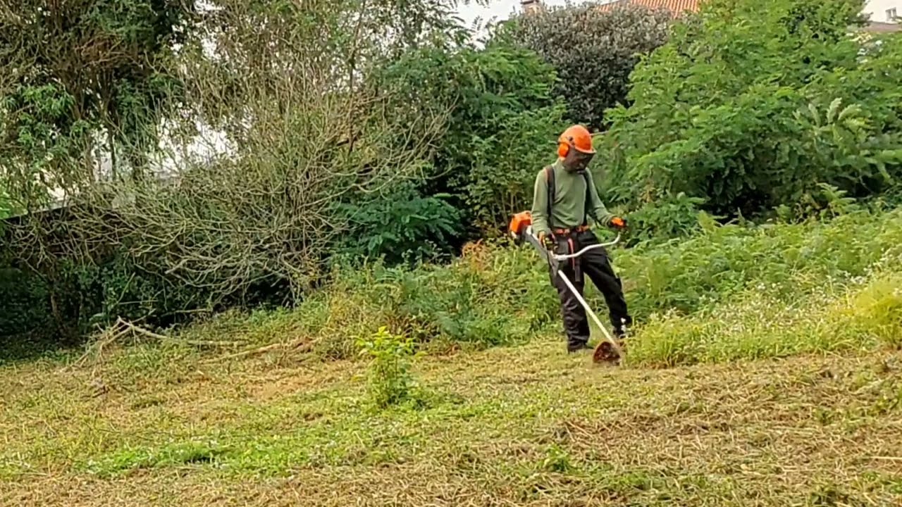 Otro desbroce duro con la Holzfforma Stihl