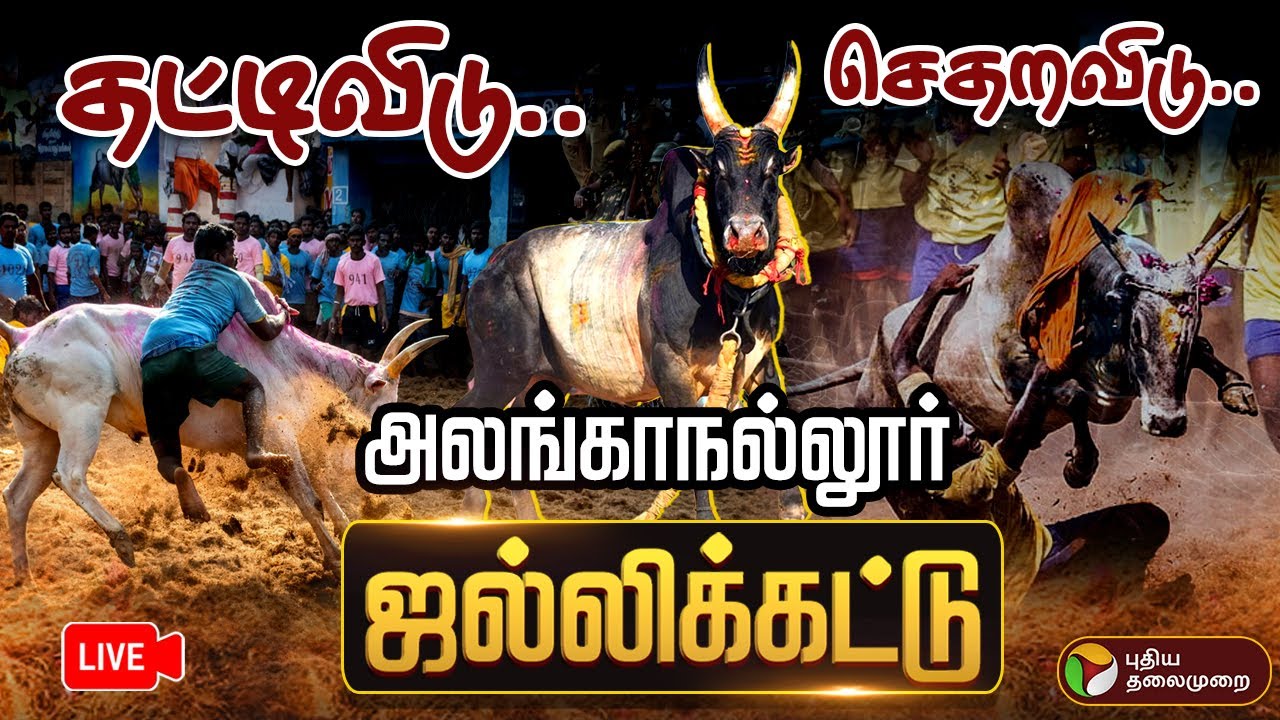 🔴LIVE: Alanganallur Jallikattu 2025 | தட்டிவிடு.. செதறவிடு.. அலறும் அலங்காநல்லூர் ஜல்லிக்கட்டு | PTD