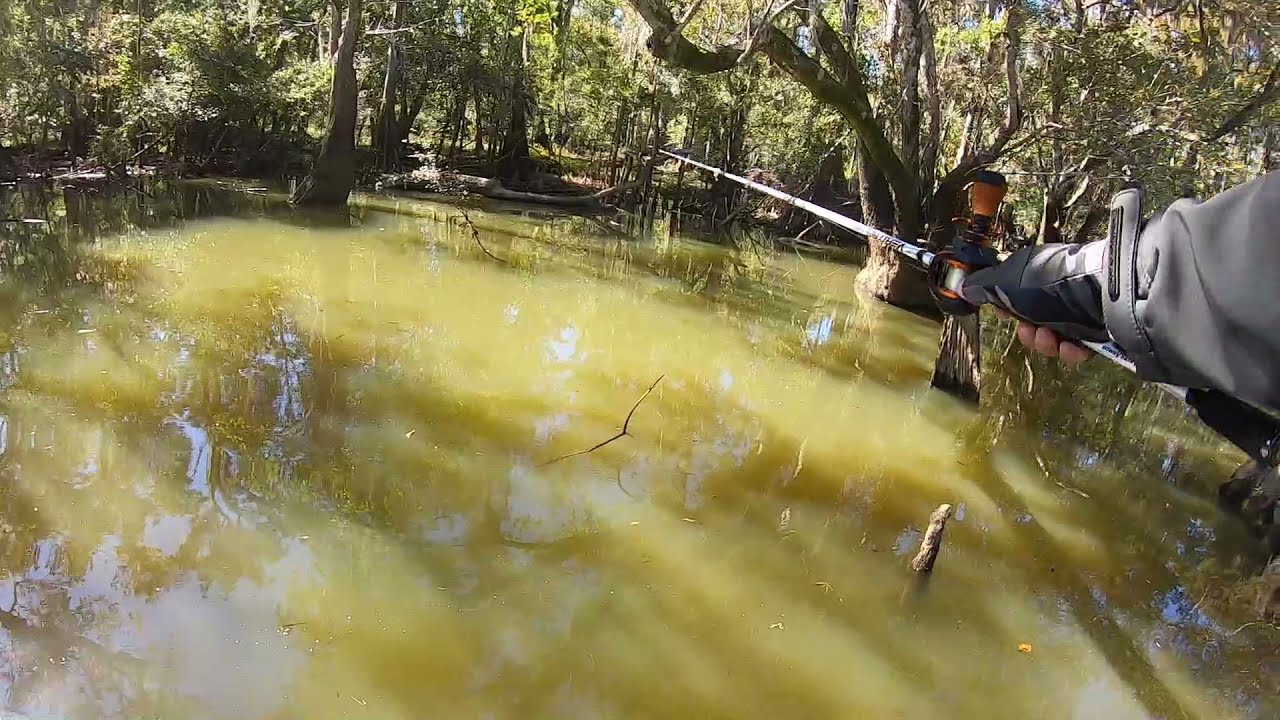Bass Tournament on the Apalachicola River on November 06, 2021. Here's a video of Keeper #2.