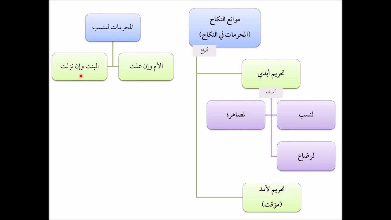 فقه الأسرة (07) موانع النكاح - عامر بهجت - التأهيل الفقهي